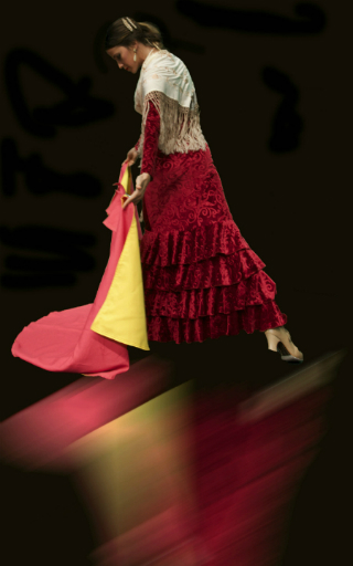 flamenco Tarragona