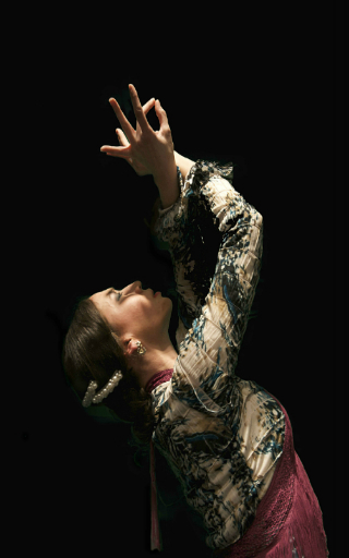 guitarrista flamenco Tarragona