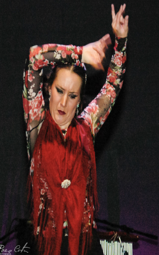 flamenco Tarragona