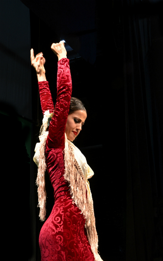 mantón flamenco Tarragona