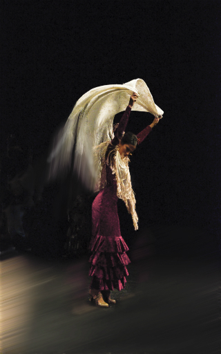 guitarra flamenco Tarragona