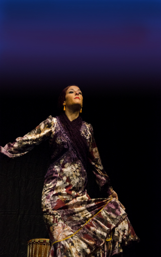 tablao flamenco Tarragona