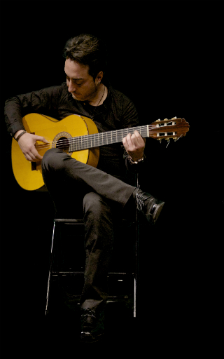  show flamenco Tarragona