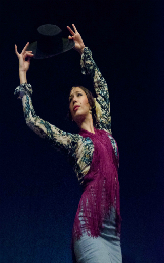 spectacle flamenco Tarragona